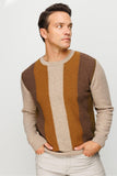 Patterned Men's Sweater DSN24K23505