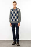 Pattern Men's Sweater DSN24K24513