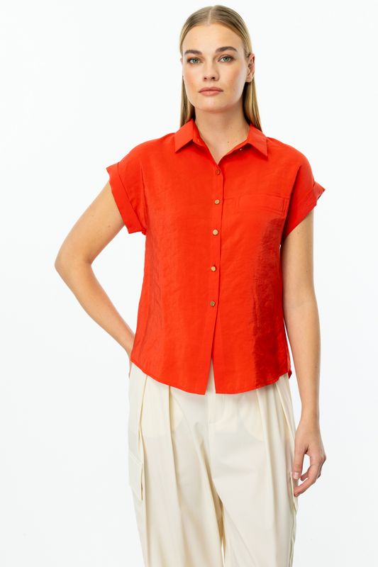 Ten Short-Sleeve Shirts Khaki