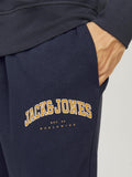 Jack&Jones Erkek Eşofman Altı 12257962