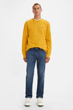 Levis Men's Jeans 29507-1229