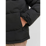 Jack&Jones Erkek Mont 12239001