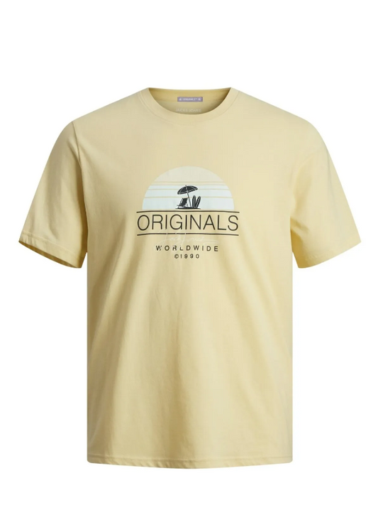 Jack&Jones Men's T-Shirt 12255238