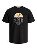 Jack&Jones Men's T-Shirt 12255238