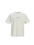 Jack&Jones Men's T-Shirt 12251105