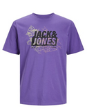 Jack&Jones Men's T-Shirt 12252376