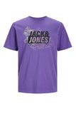 Jack&Jones Men's T-Shirt 12252376