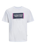 Jack&Jones Erkek T-Shirt 12252681