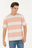U.S. Polo Assn. Oversize Çizgili Erkek T-Shirt - Rahat ve Şık