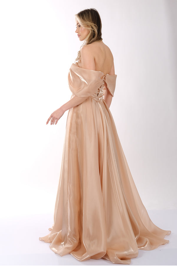 Ankyra Kadın Düşük Omuzlu Drape Şifon Abiye Elbise 25Y1222