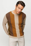 Patterned Men's Sweater DSN24K23505