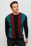 Patterned Men's Sweater DSN24K23505