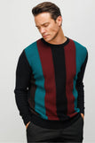 Patterned Men's Sweater DSN24K23505