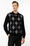 Pattern Men's Sweater DSN24K24513