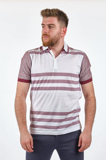 Gallus Erkek Polo Yaka Çizgili T-Shirt - Kısa Kol Regular Fit