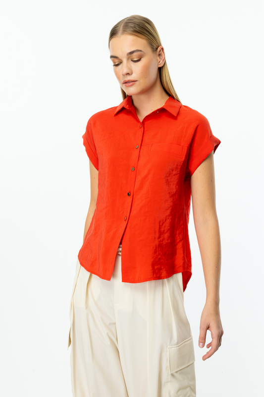 Ten Short-Sleeve Shirts Khaki