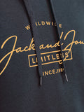Jack&Jones Erkek Sweatshirt 12256838