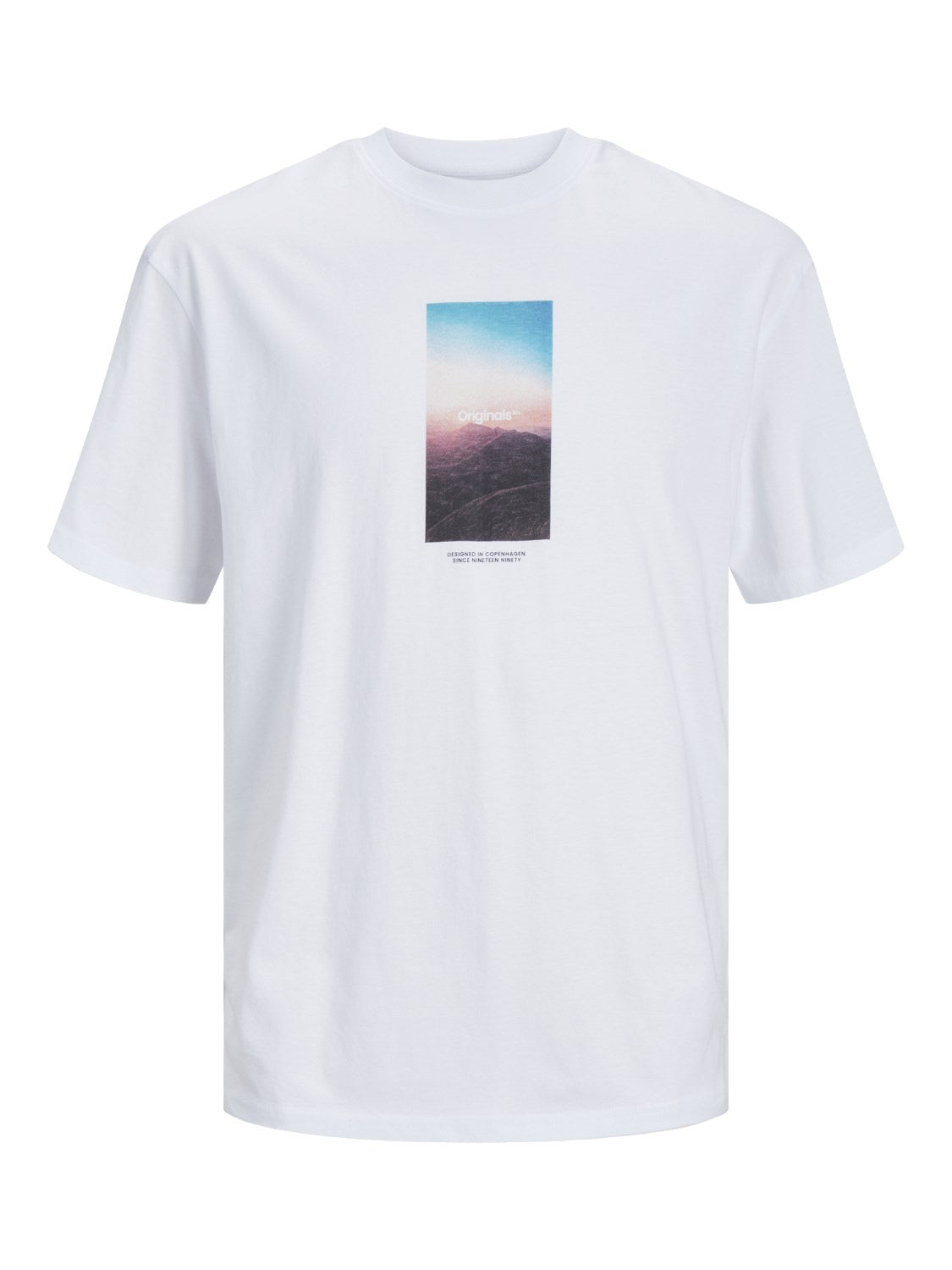 Jack&Jones Plus Oversize Minimalist Erkek Tişört - Kısa Kol - Günlük Secondary image