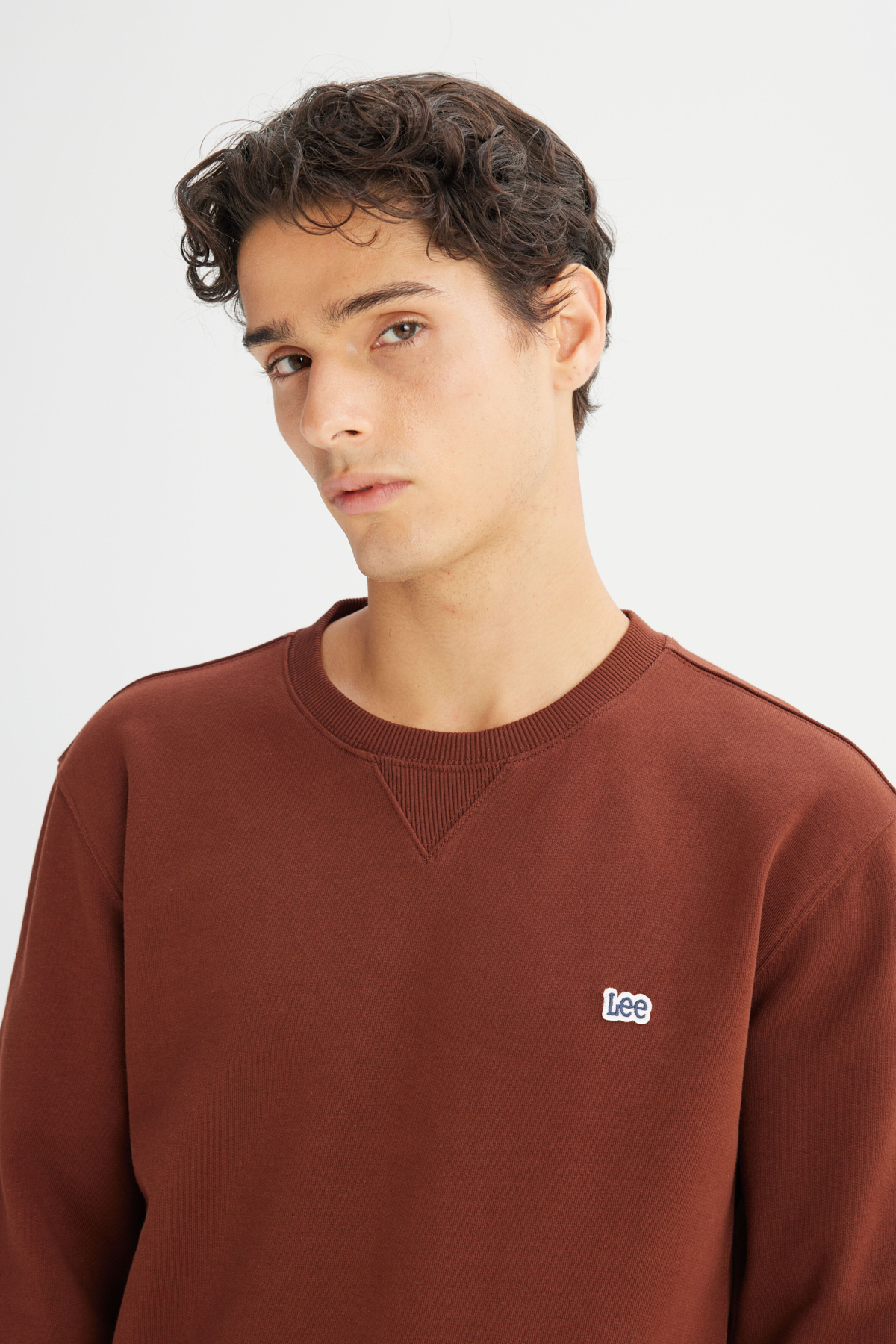 Regular Fit Normal Kesim Bisiklet Yaka Sweatshirt Lee Secondary image
