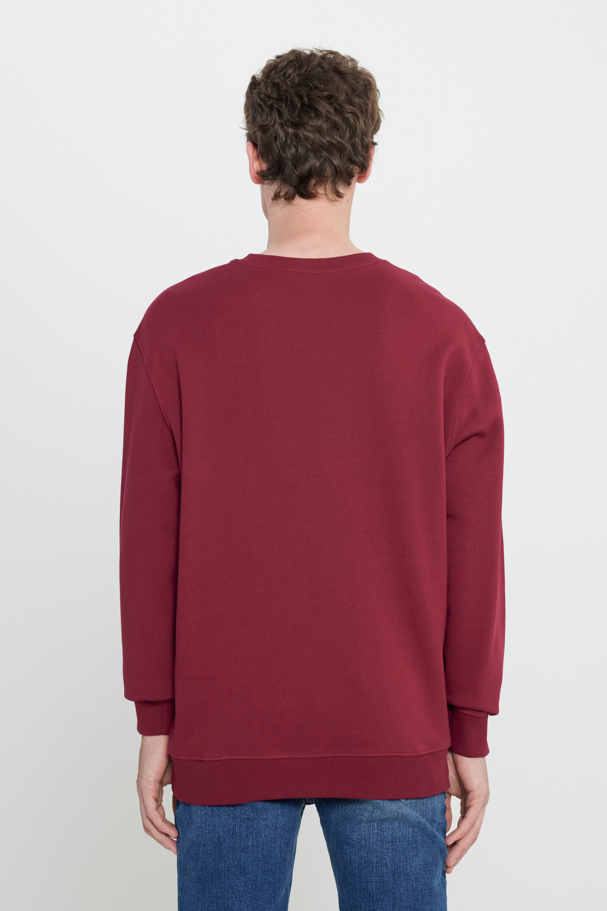 Regular Fit Bisiklet Yaka İçi Polarlı Sweatshirt Lee Secondary image
