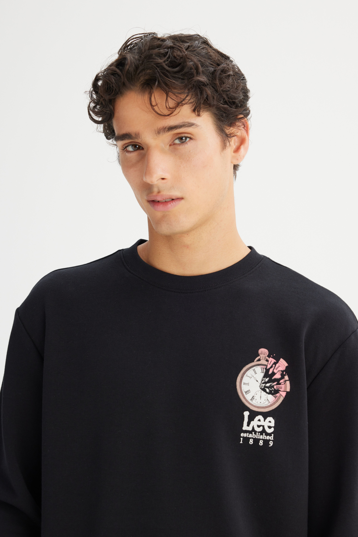 Regular Fit Normal Kesim Bisiklet Yaka Baskılı Sweatshirt Lee Secondary image