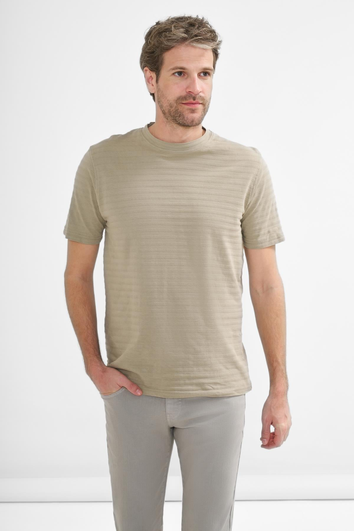 İntersivin Erkek Bisiklet Yaka Dokulu Çizgili Kısa Kollu Pamuk Karışımlı T-Shirt BRŞ-03 Main image