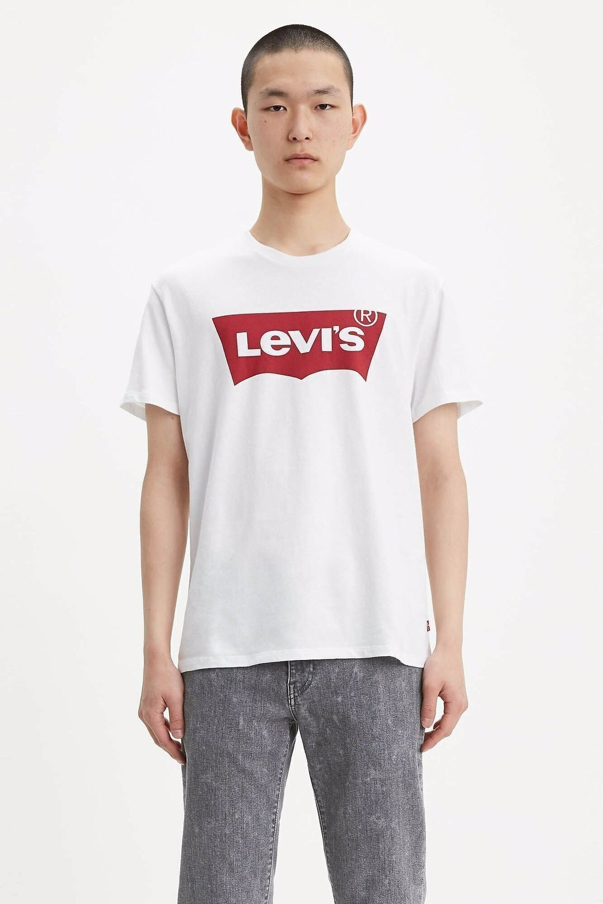 Levi's Erkek Minimalist Kısa Kol T-Shirt - Oversize Kalıp İkincil görsel