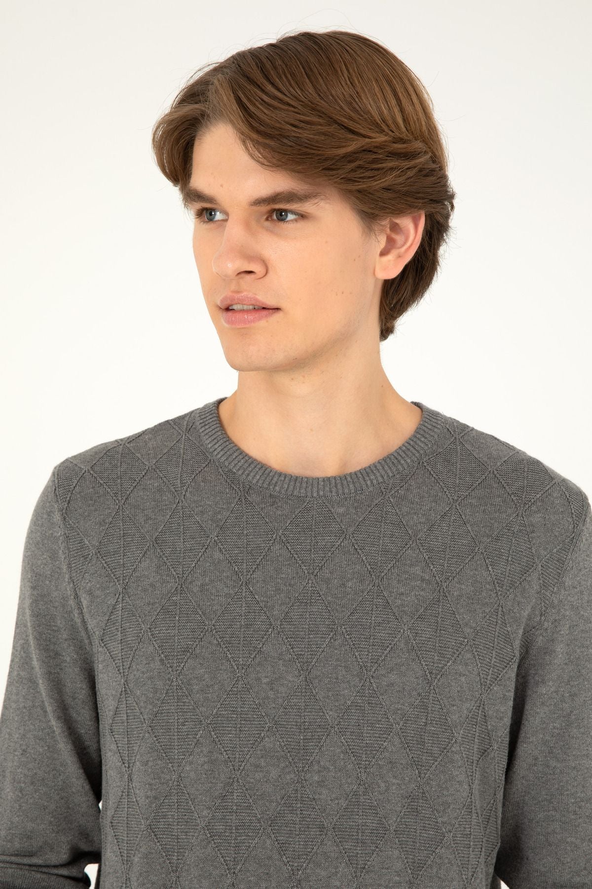 U.S. Polo Assn. Erkek Minimalist Desenli Regular Fit Uzun Kol Kazak Secondary image