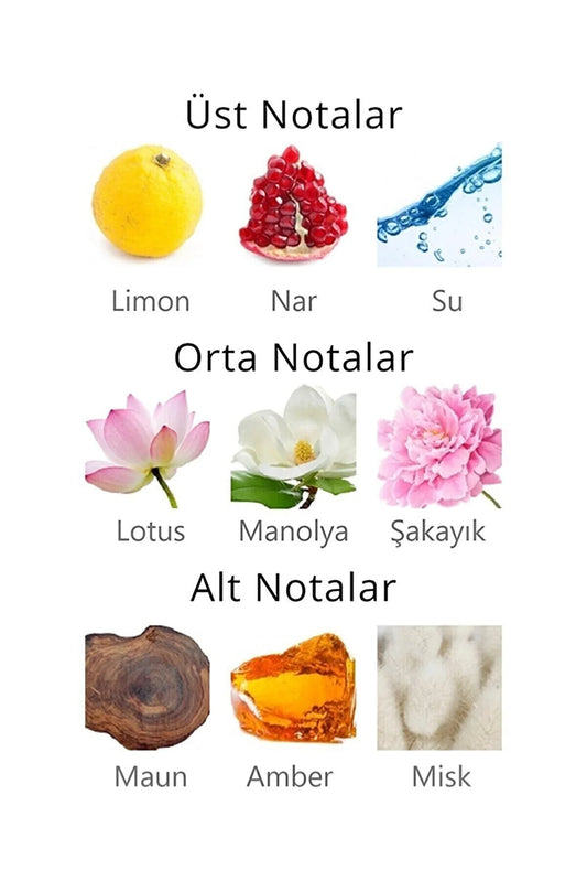 Aqua Di Polo Kadın Vücut Spreyi APCN003703