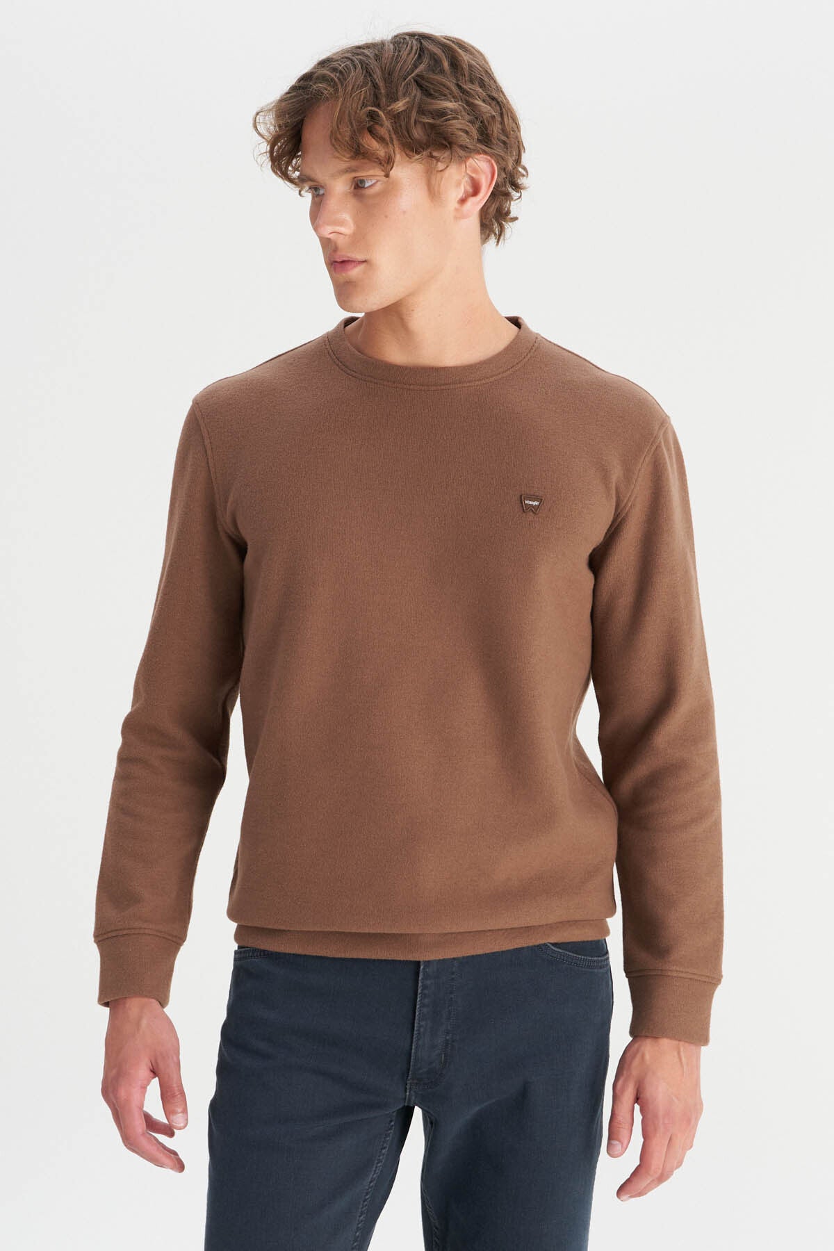 Wrangler Erkek Regular Fit Normal Kesim Bisiklet Yaka Selanik Örgü Sweatshirt Secondary image