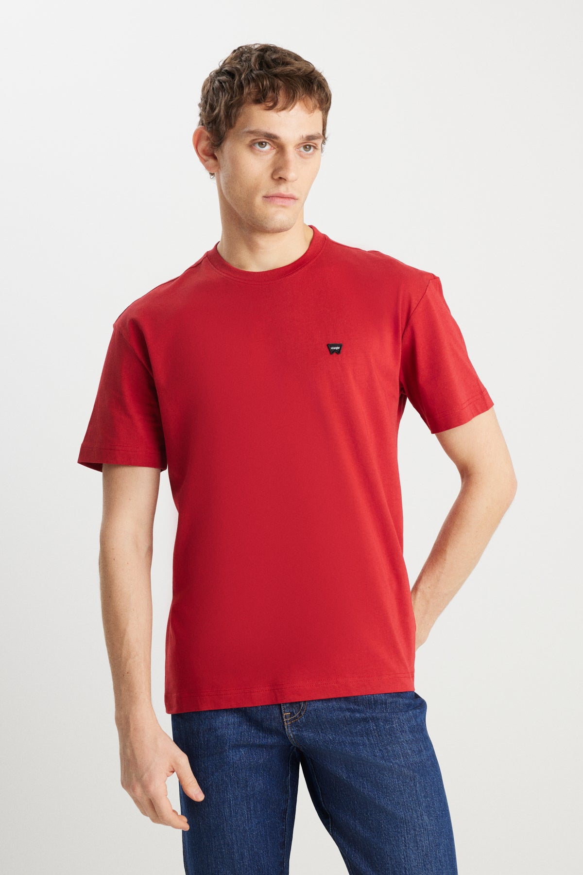Wrangler Erkek Relaxed Fit Geniş Kesim T-Shirt MW7NM203877600 Secondary image