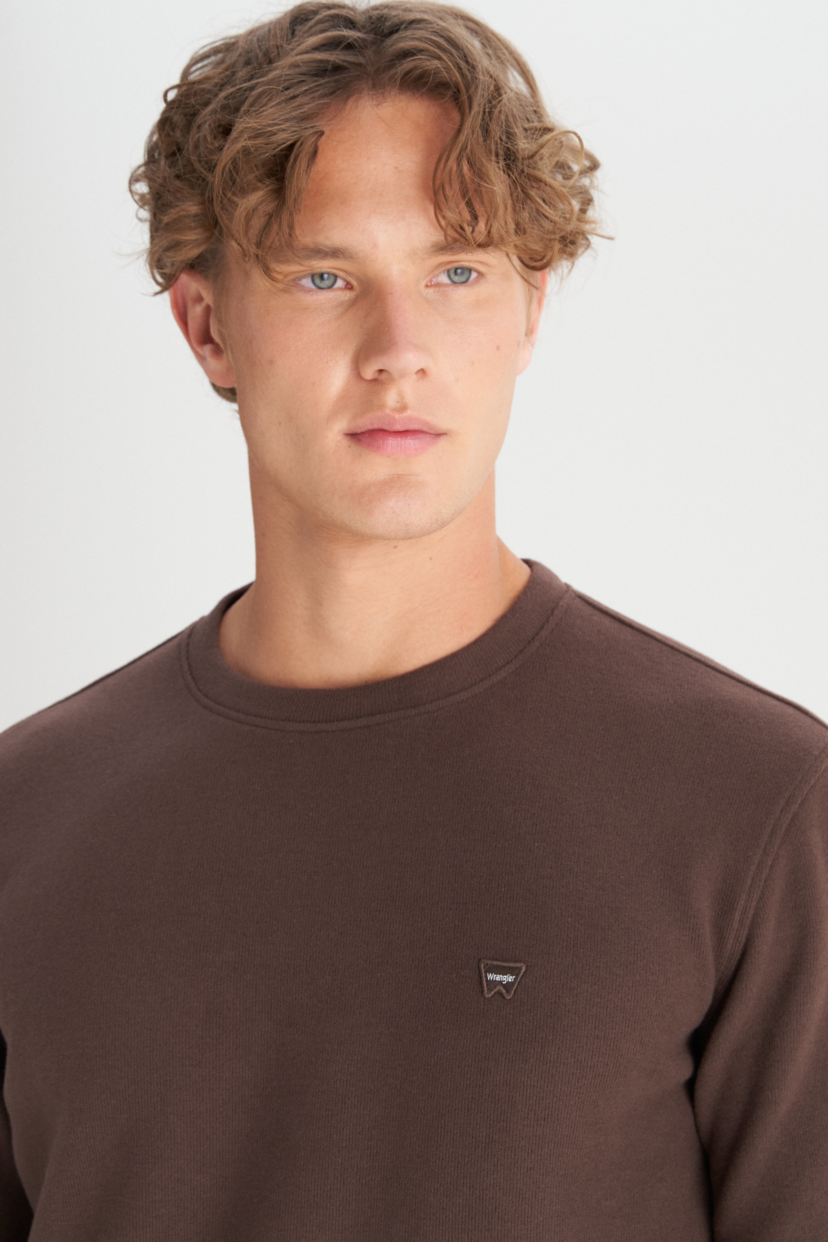 Wrangler Erkek Regular Fit Normal Kesim Bisiklet Yaka Selanik Örgü Sweatshirt Secondary image